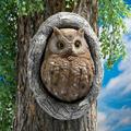 Design Toscano Octavius Knothole Owl Tree Sculpture QM2734400